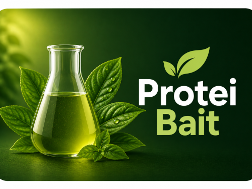 Protein Bait