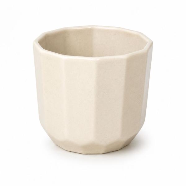 Box Pot