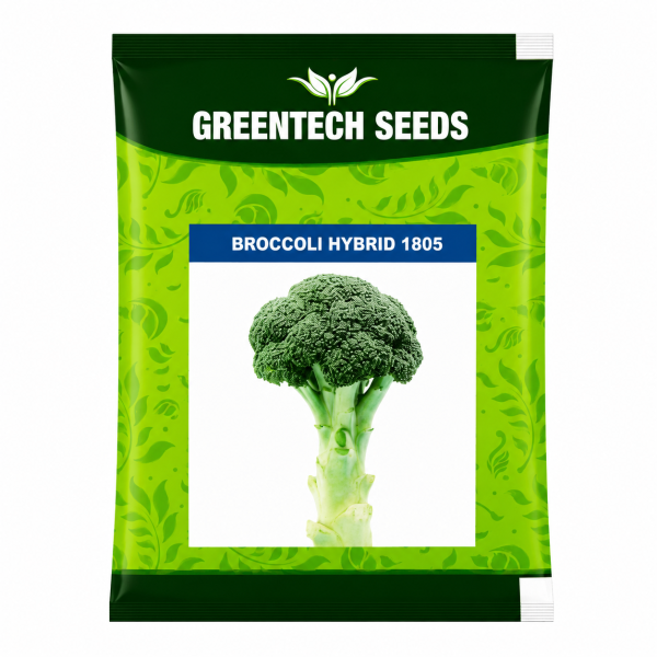 Broccoli Hybrid 1805