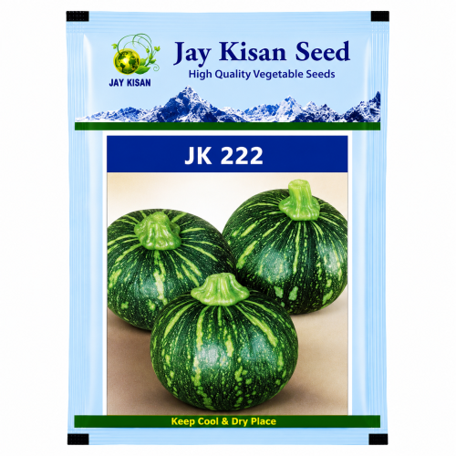 ChatGPT Image Jul 28, 2026, 03_15_27 PM 