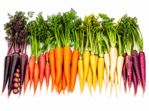 Carrot