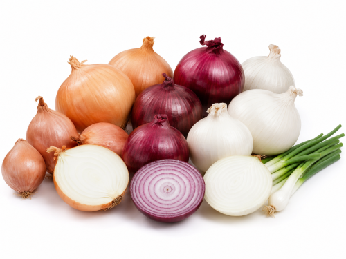 Onion