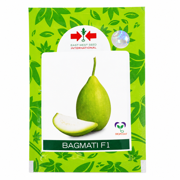 Bagmati F1
