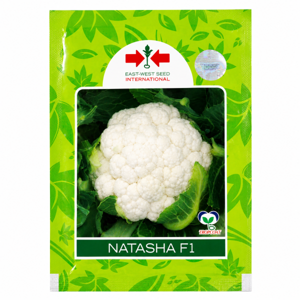 Natasha F1
