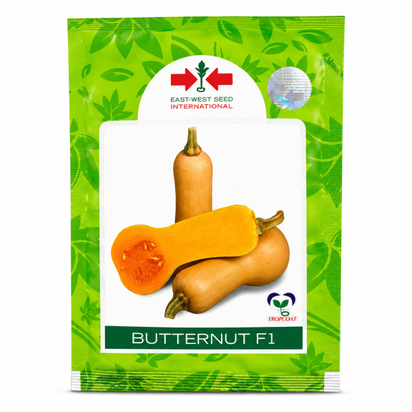 Butternut F1