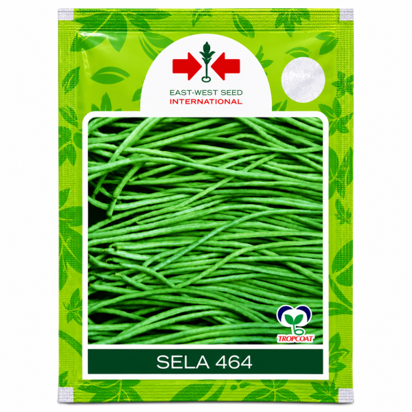 Sela 464