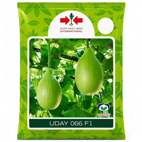 Uday 066 F1