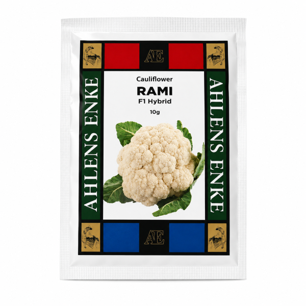 Cauliflower Rami