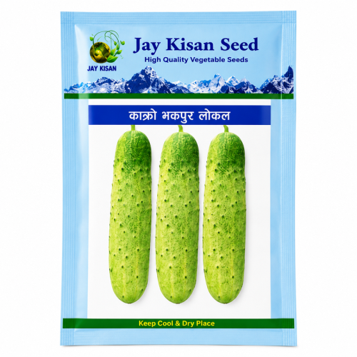 Cucumber_Seed_Packet_800x800 