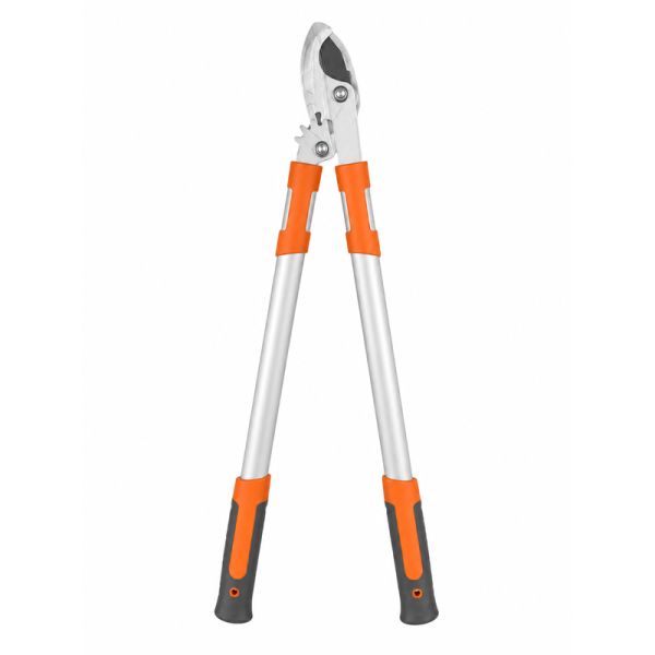 Looping Shear