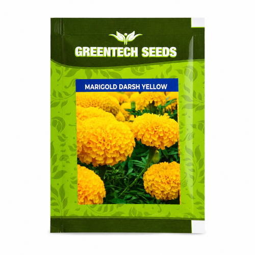 Marigold Yellow 