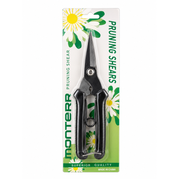 Clipper Sceature