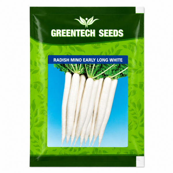 Radish Mino Early Long WHITE