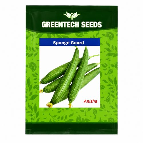 Spounse Gourd Anisha 