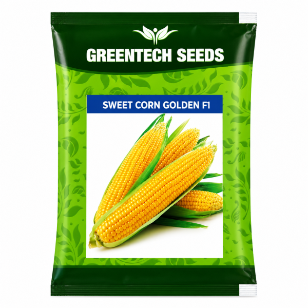 Sweet Corn GOLDEN F1