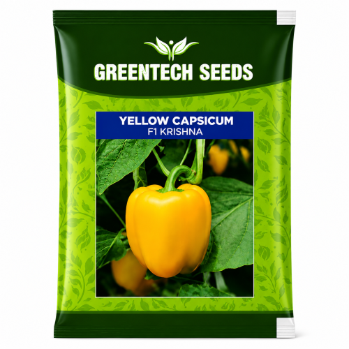 yellow capsicum 