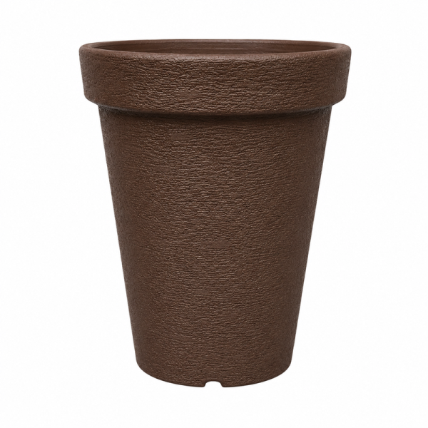 Evergreen Pot