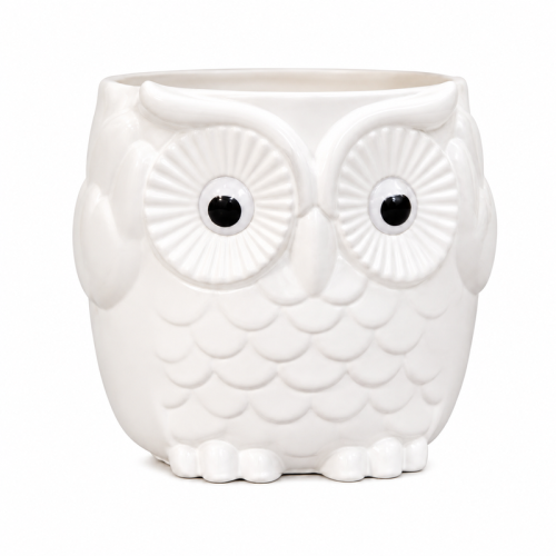 owl_planter_800x800_clean 